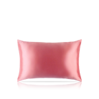 Pure Silk Queen Zippered Pillowcase