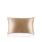 Pure Silk Queen Zippered Pillowcase