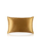 Pure Silk Queen Zippered Pillowcase