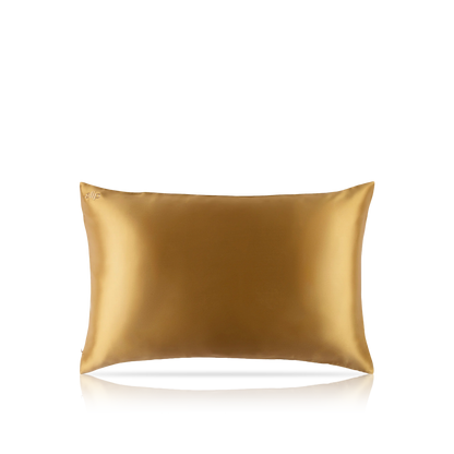 Pure Silk Queen Zippered Pillowcase