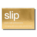 Pure Silk Queen Zippered Pillowcase