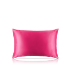 Pure Silk Queen Zippered Pillowcase