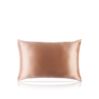 Pure Silk Queen Zippered Pillowcase