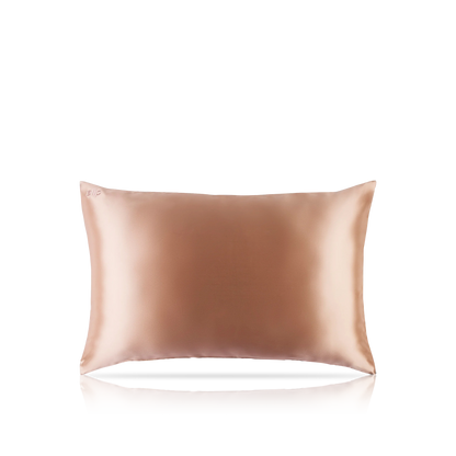 Pure Silk Queen Zippered Pillowcase