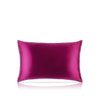 Pure Silk Queen Zippered Pillowcase