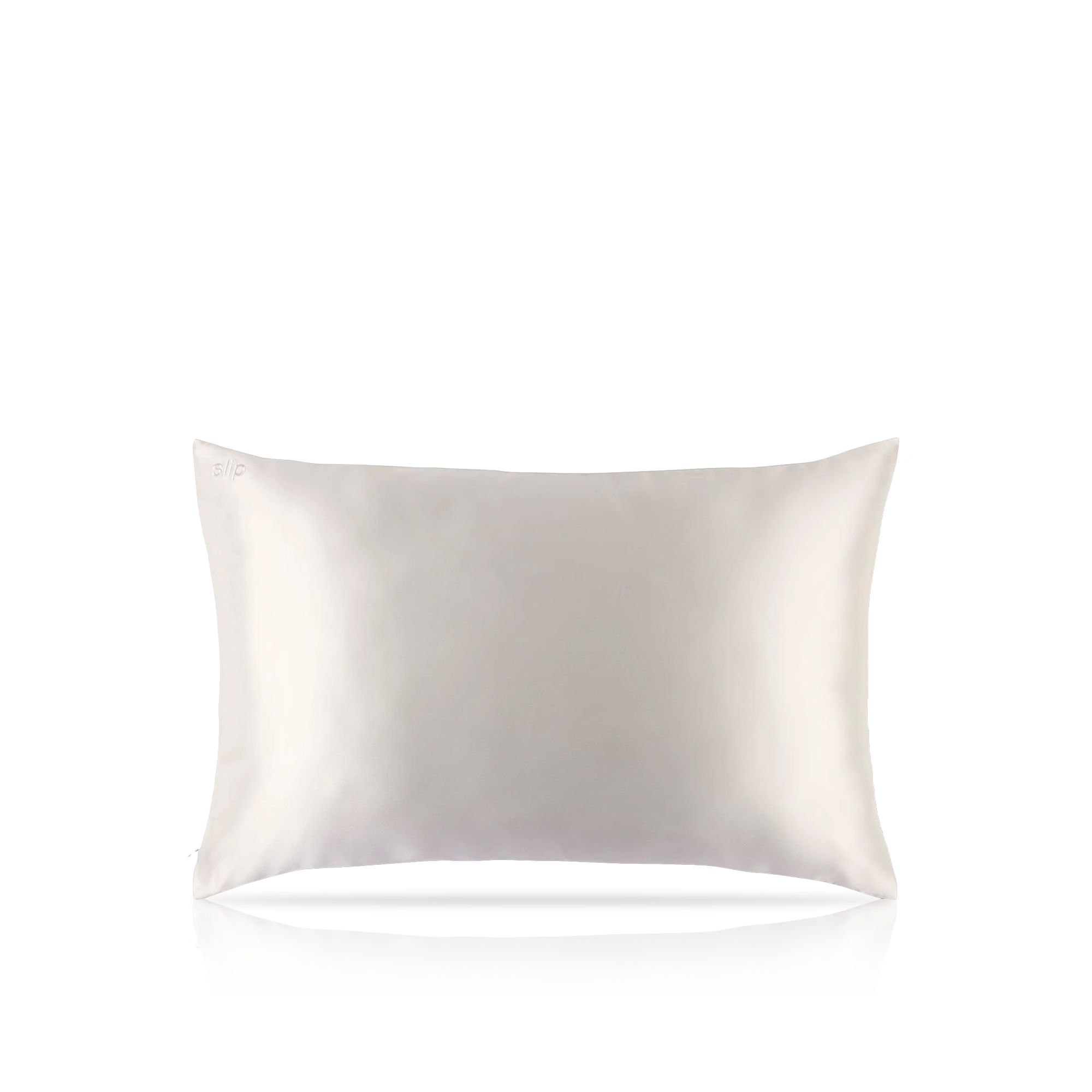 Pure Silk Queen Zippered Pillowcase