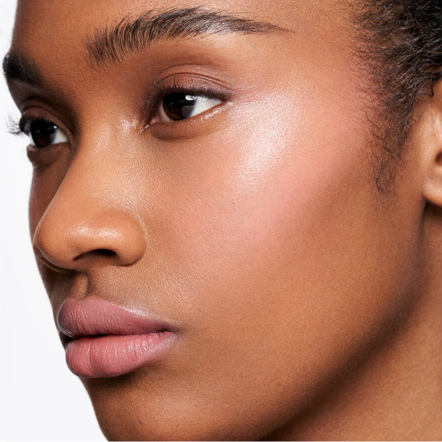 Complete Harmony Lip & Cheek Stick