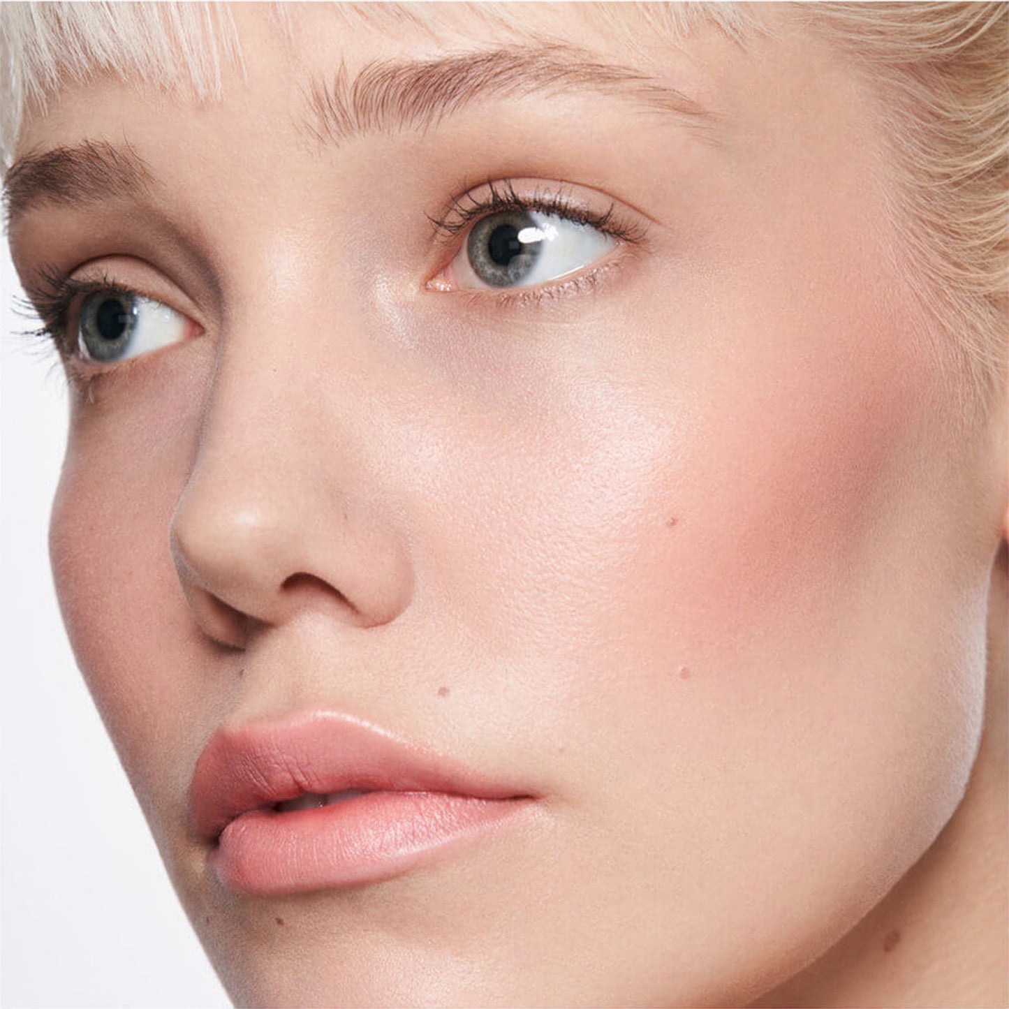 Complete Harmony Lip & Cheek Stick