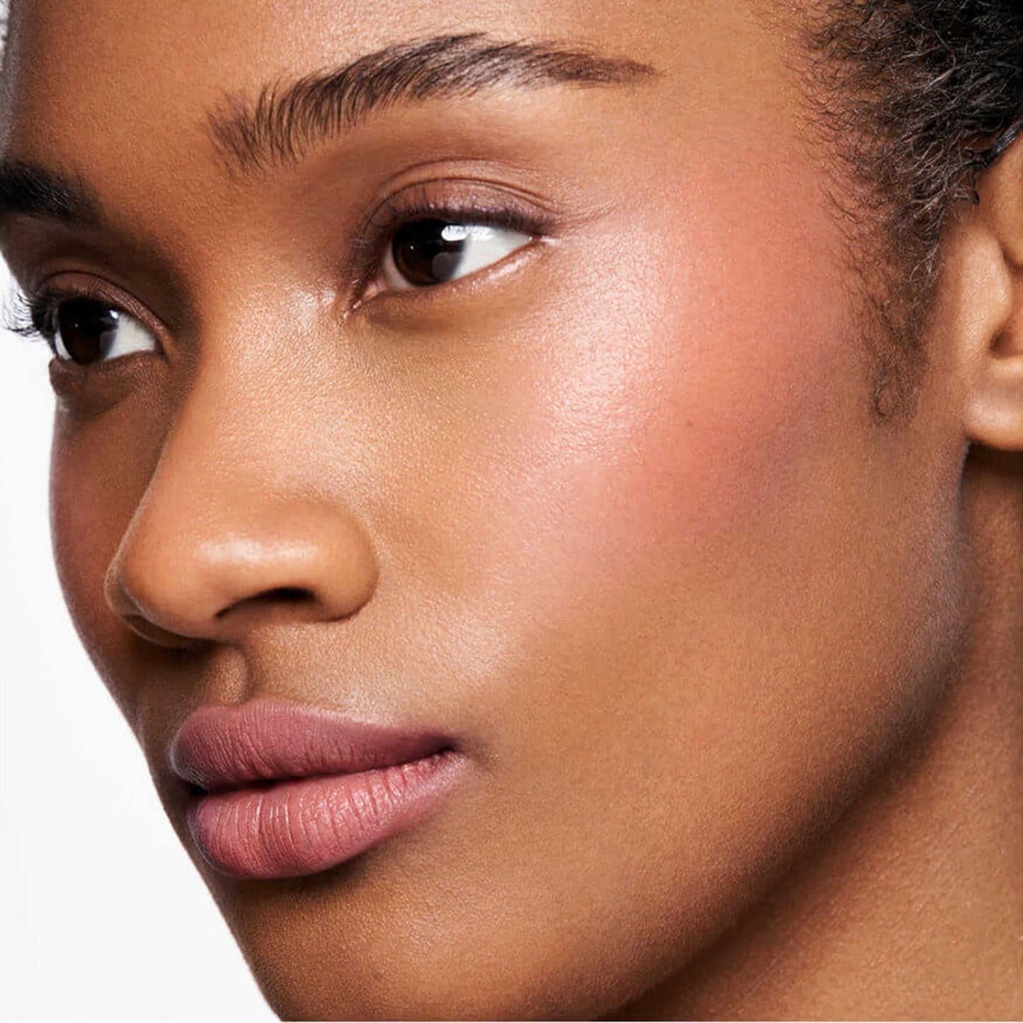 Complete Harmony Lip & Cheek Stick