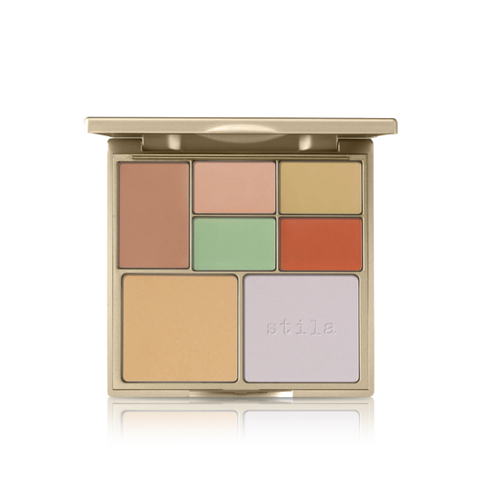 Correct & Perfect All-In-One Color Correcting Palette