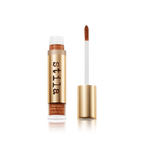 Pixel Perfect Concealer