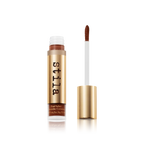 Pixel Perfect Concealer