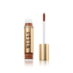 Pixel Perfect Concealer
