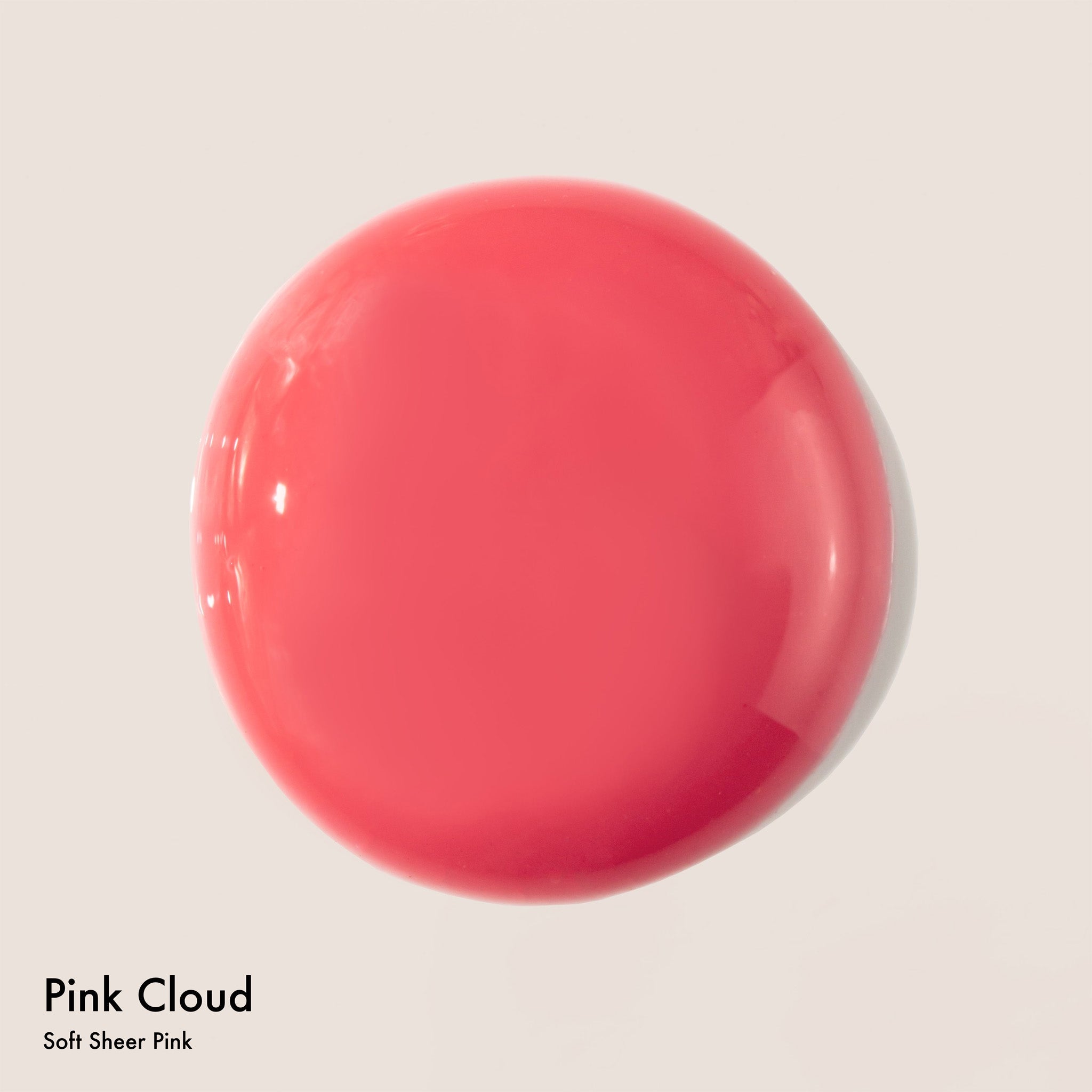 DREAM LIP OIL