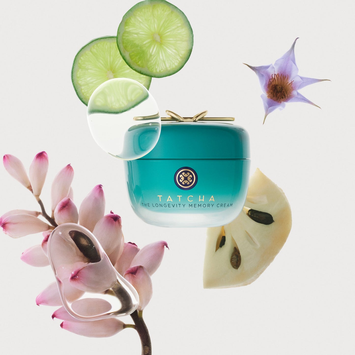 THE LONGEVITY MEMORY CREAM