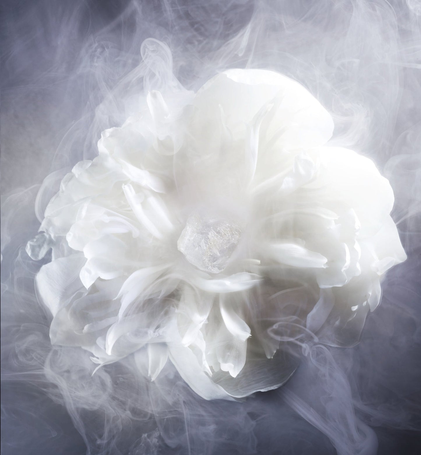 DIOR NEW LOOK 1947 EDP 250 ML