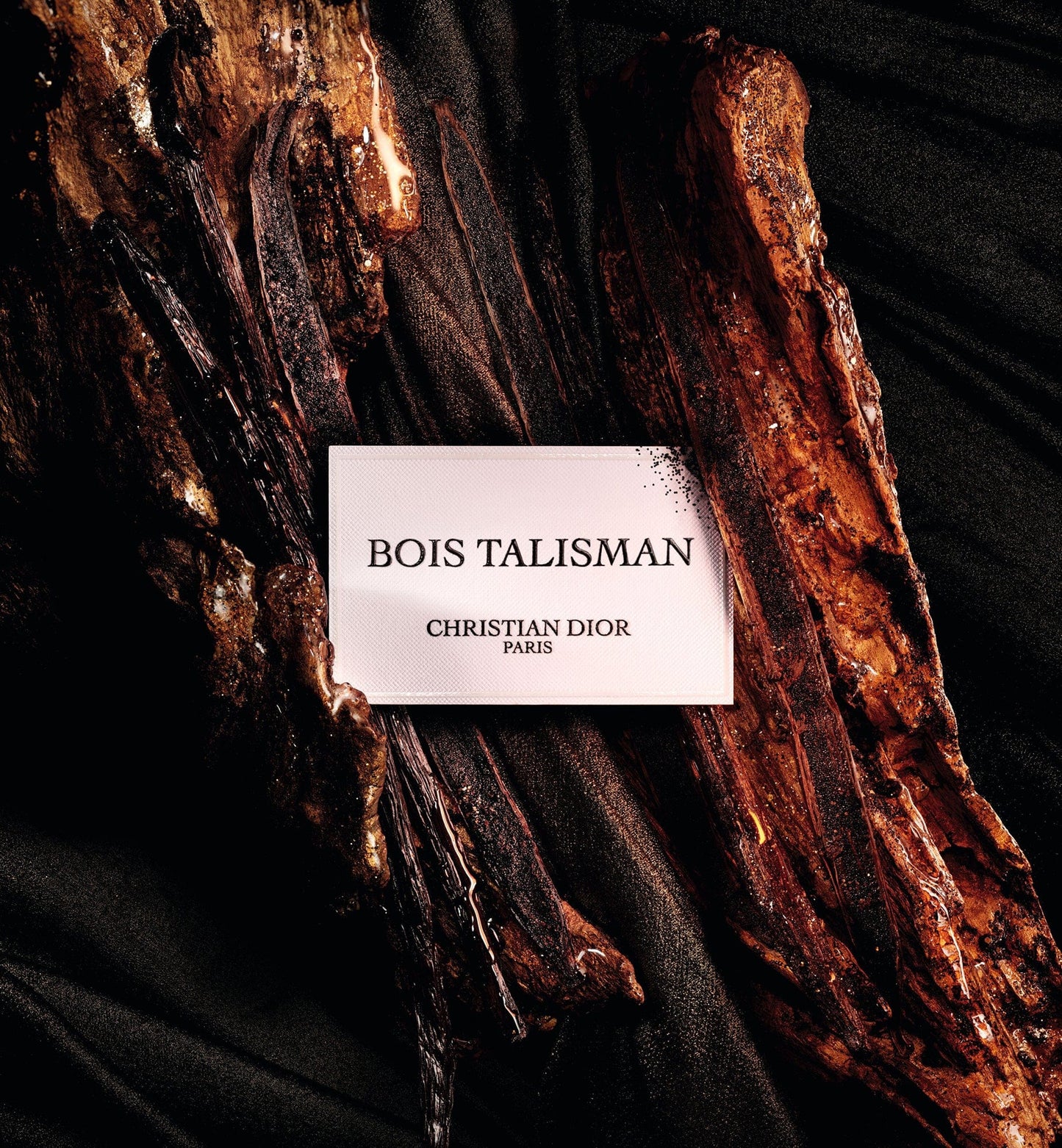 Dior Bois Talisman Edp