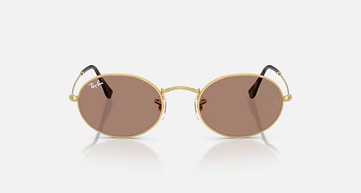RAY-BAN OVAL METAL SUMMER CAPSULE Arista Gold & Light Violet Oval Sunglasses For Unisex M