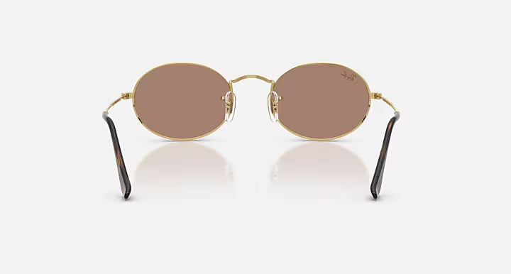 RAY-BAN OVAL METAL SUMMER CAPSULE Arista Gold & Light Violet Oval Sunglasses For Unisex M