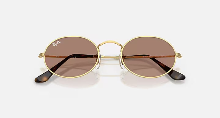 RAY-BAN OVAL METAL SUMMER CAPSULE Arista Gold & Light Violet Oval Sunglasses For Unisex M