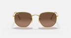RAY-BAN HEXAGONAL FLAT LENSES Arista Gold & Brown Sunglasses For Unisex M