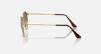 RAY-BAN ROUND METAL Gold & Brown Round Sunglasses For Unisex S