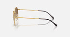RAY-BAN JIM Arista Gold & Light Brown Irregular Sunglasses For Unisex L
