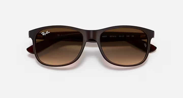 RAY-BAN ANDY Brown & Brown Gradient Square Sunglasses For Men M