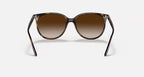 RAY-BAN RB4378 Havana & Gradient Brown Square Sunglasses For Women S