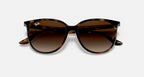 RAY-BAN RB4378 Havana & Gradient Brown Square Sunglasses For Women S