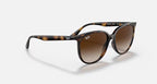 RAY-BAN RB4378 Havana & Gradient Brown Square Sunglasses For Women S