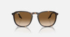 RAY-BAN RB2203 Havana & Light Brown Square Sunglasses For Unisex M