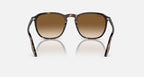 RAY-BAN RB2203 Havana & Light Brown Square Sunglasses For Unisex L