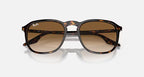 RAY-BAN RB2203 Havana & Light Brown Square Sunglasses For Unisex L