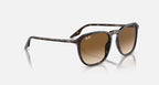 RAY-BAN RB2203 Havana & Light Brown Square Sunglasses For Unisex M