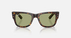 نظارة شمسية RAY-BAN MEGA WAYFARER SUMMER CAPSULE مربعة للجنسين بلون هافانا وأخضر زجاجي M