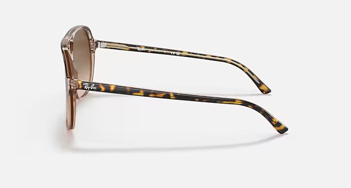 RAY-BAN BILL Havana On Transparent Brown & Light Brown Gradient Square Sunglasses For Unisex M