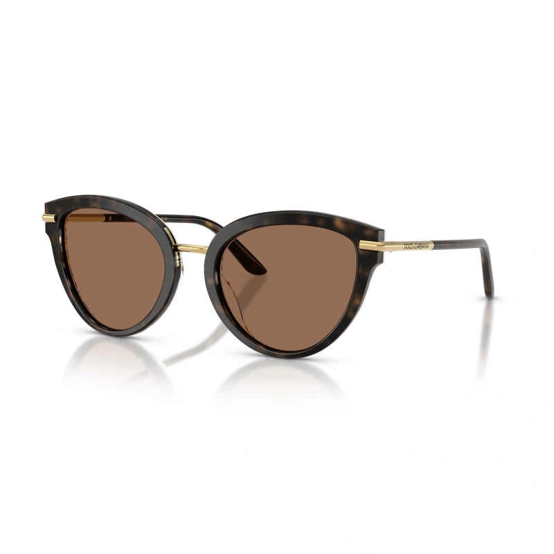 D&G DG4492 321713 نظارة شمسية هافانا/بني فراشة مقاس 55
