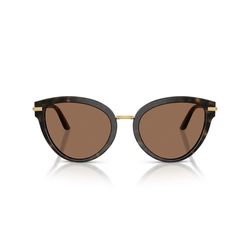 D&G DG4492 321713 Havana/Brown Butterfly Sunglasses Size 55