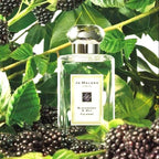 Jo Malone blackberry & bay cologne 100ml