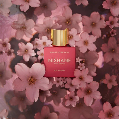 Nishane Meant To Be Seen Extrait de Parfum 50ml